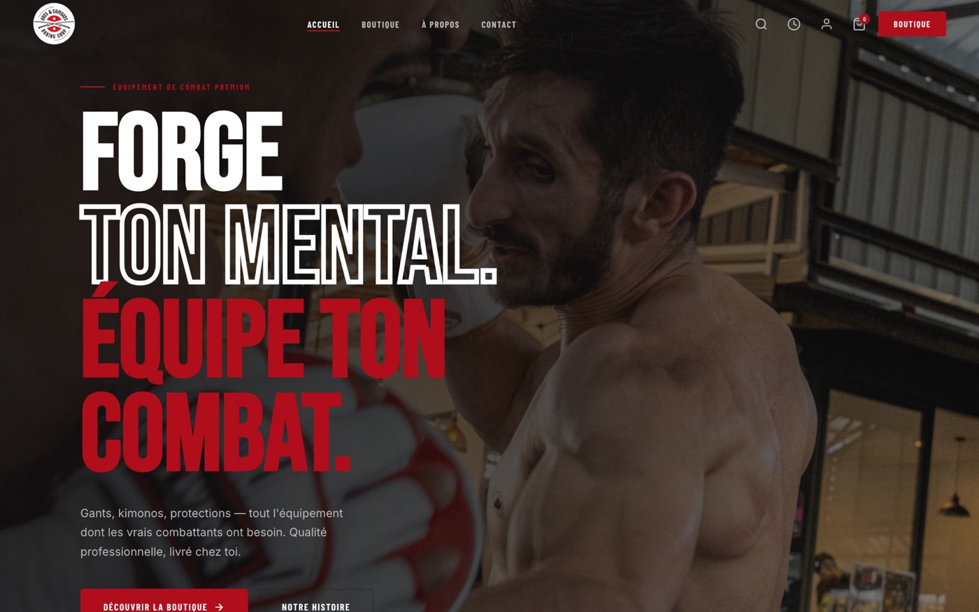 Page d'accueil du site Arts et Combats